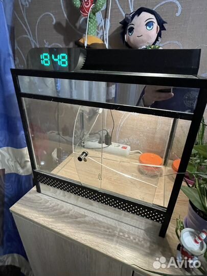 Террариум для рептилий