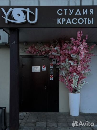 Мастер бровист