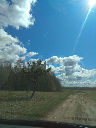 Участок 1,54 га (СНТ, ДНП)