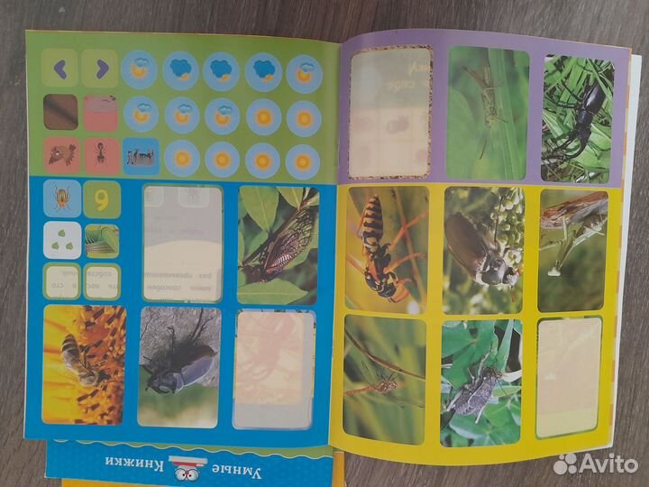 Детские развивающие книги для 4-5 лет