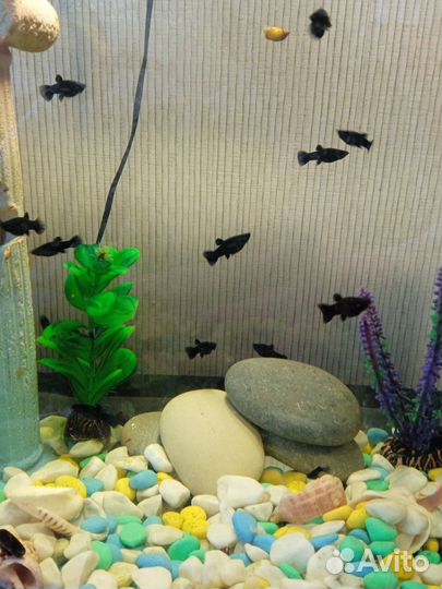 Украшение для аквариума