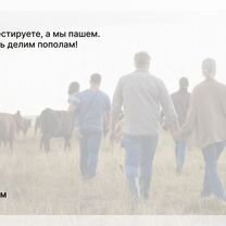 Агентство для колхозников в городе Макеевка, Макеевка