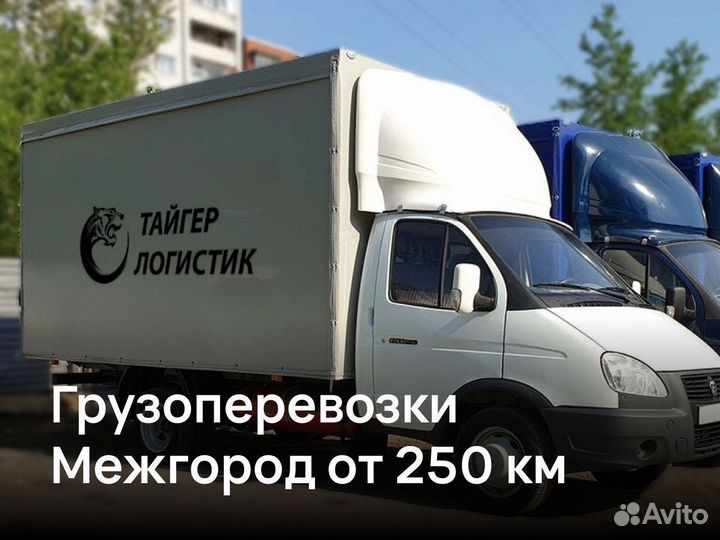 Грузоперевозки 3 тонны