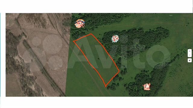 Участок 5 га (СНТ, ДНП)