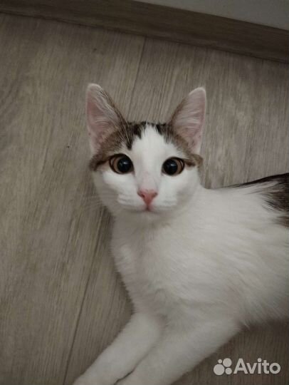 Очень ласковая девочка 5-6 месяцев