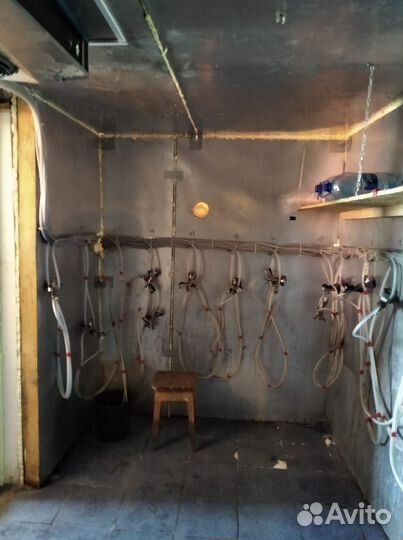 Холодильное оборудование для пива