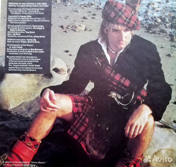 Виниловые пластинки Rod Stewart