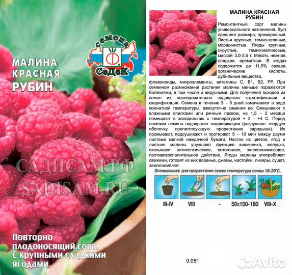 Малина Рубин красная (Седек) Ц 0,05г/многолетник,1,5-2м,2-5,5г,ярко-красная