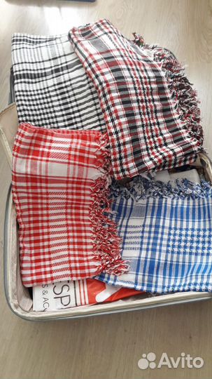 Арафатка палестинская