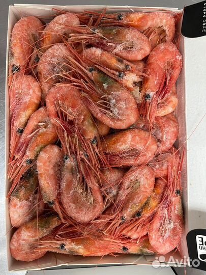 Креветка Северная (Промфлот, 70-90)
