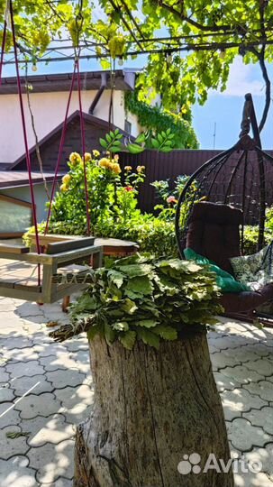 Дубовые веники для бани