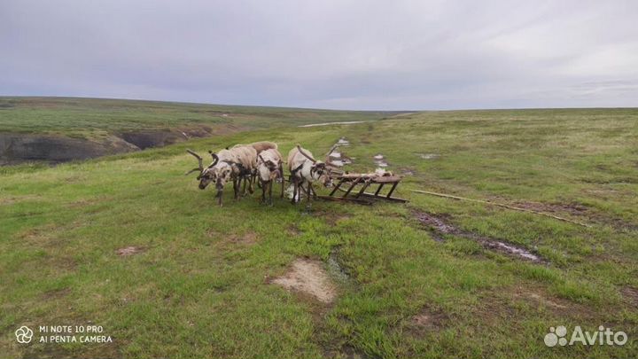 Рыбалка и отдых