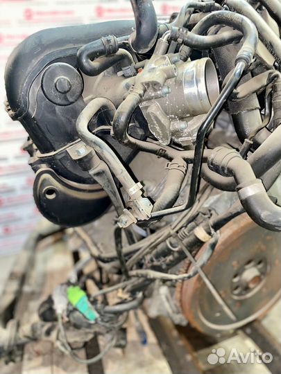 Двигатель контрактный ALT 2.0 Audi Volkswagen