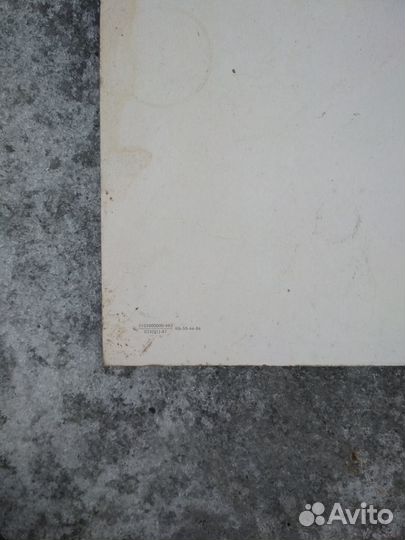 Картина Яна Стена и Софонисбы Ангиссолы - торг