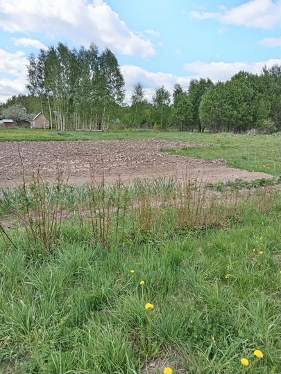 Дом 38 м² на участке 22 сот.