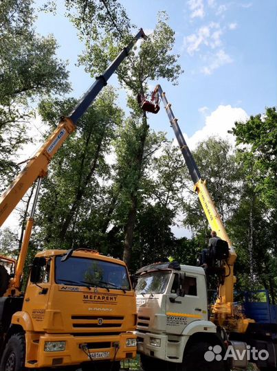 Аренда и услуги автокрана, 32.5 м, с гуськом 8 м