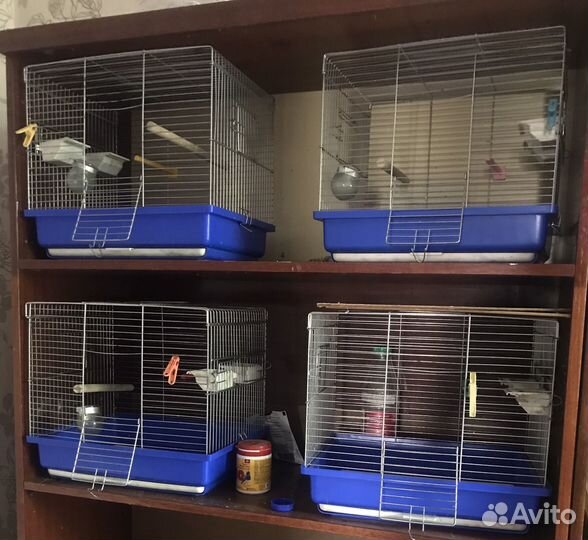 Клетки для птиц