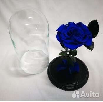 Синяя роза в колбе, бутон 12-14 см, арт 32