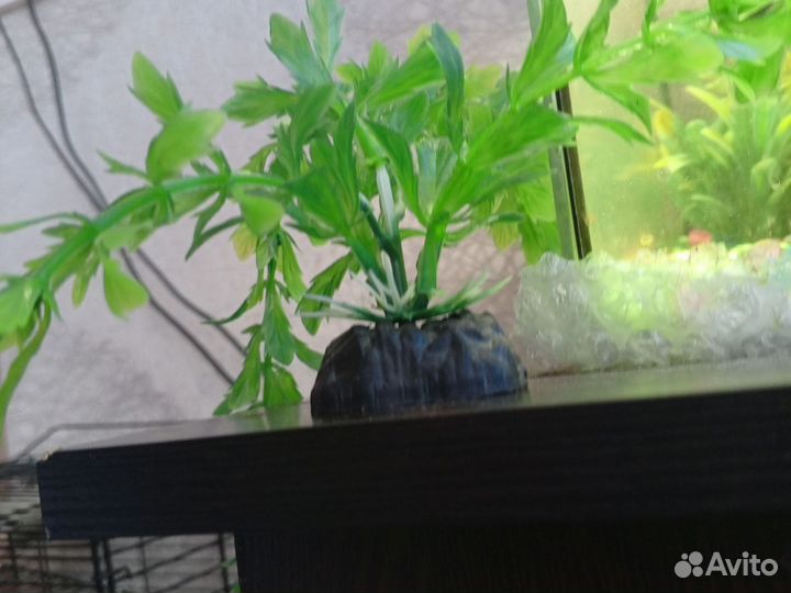 Украшения для аквариума