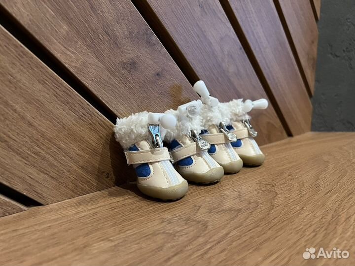 Ботинки для маленькой собачки