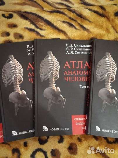 Атлас анатомии человека Синельников 2015г