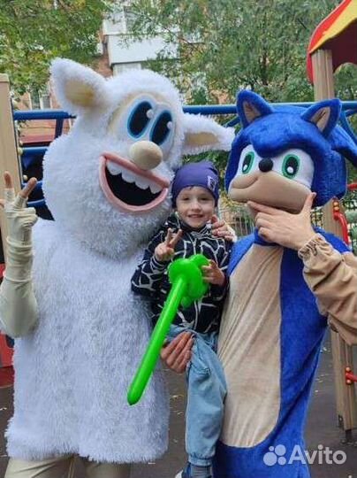 Аниматор Соник