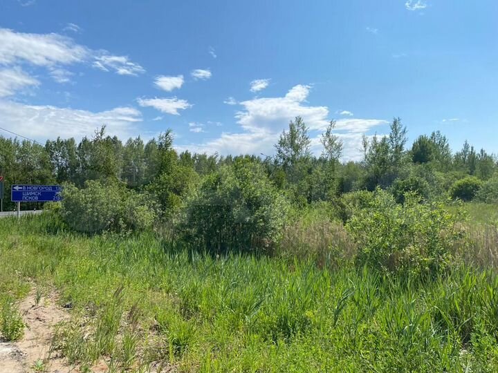 Участок 74 га (СНТ, ДНП)