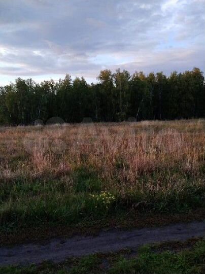 Участок 30 сот. (ИЖС)