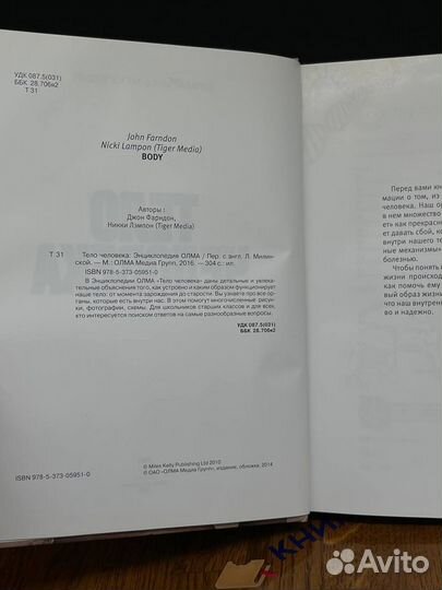 Тело человека