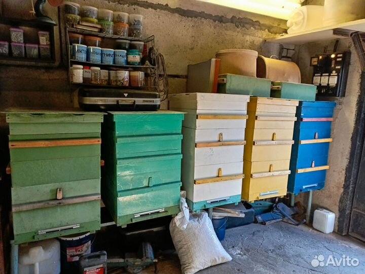 Улей дадан 12