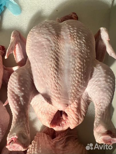 Мясо домашнего бройлера