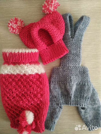 Вязаная одежда для собак