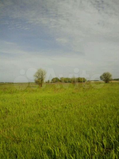 Участок 4,6 га (СНТ, ДНП)