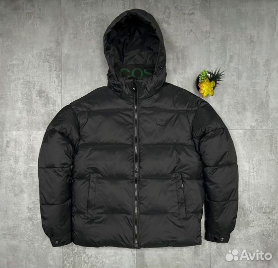 Зимние куртки Lacoste