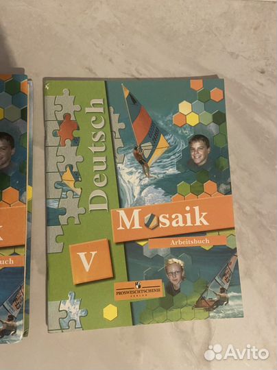 Mosaik V, 5 класс ученик и тетрадь. Новые
