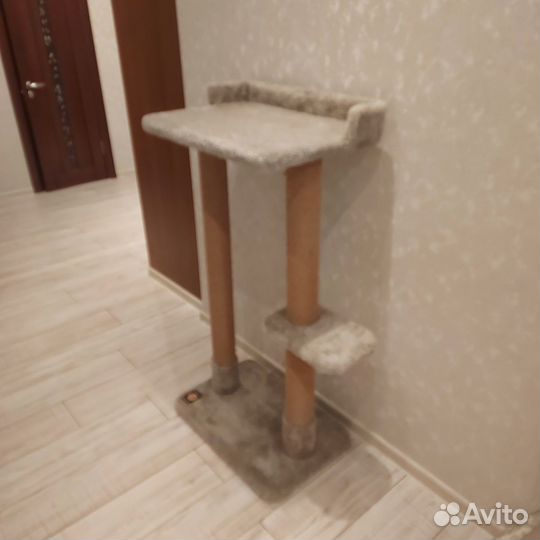 Когтеточка