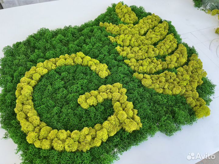 Панели из стабилизированного мха