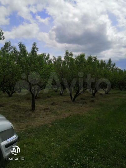 Участок 12 га (СНТ, ДНП)