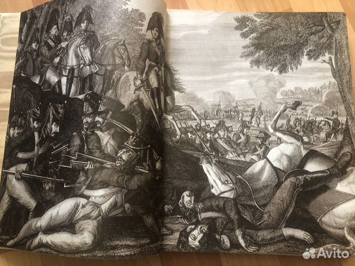 Книга Бородино