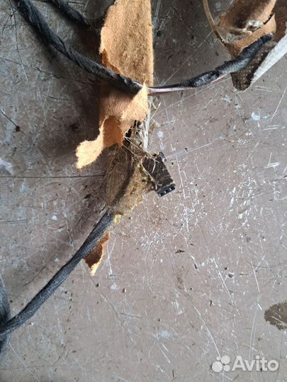 Проводка потолка Ford Mondeo