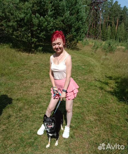 Передержка для домашних животных