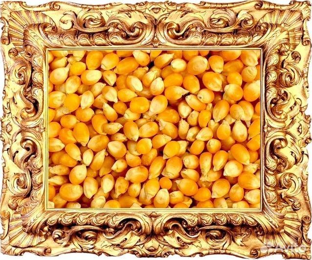 Продаем кукурузу 10кг