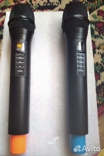 Аренда колонки Ginzzu 202