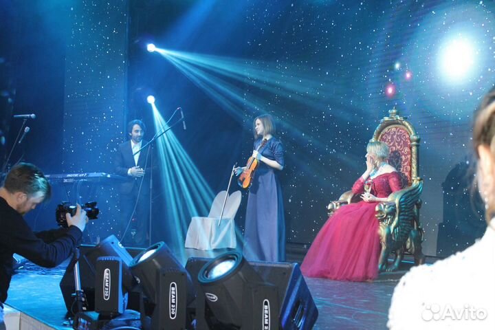 Скрипка на мероприятие