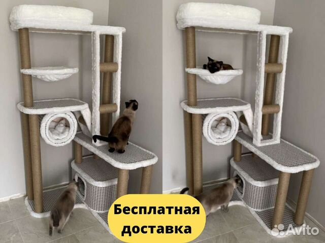 Мебель для кошек 🐈 - купить в Санкт-Петербурге в интернет-магазине конференц-зал-самара.рф