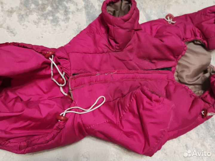 Зимняя одежда для собаки