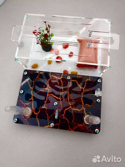 Муравьиная ферма с доставкой по РФ и муравьями