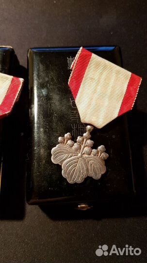 Япония, Орден Восходящего солнца 8 кл