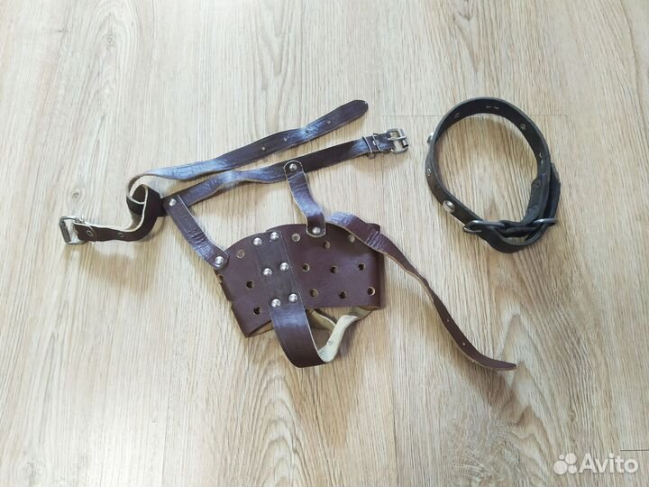 Намордник и ошейник