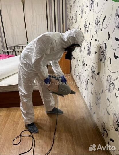 Уничтожение тараканов, клопов, блох, мышей